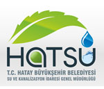 hatsu hatsu