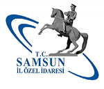samsun